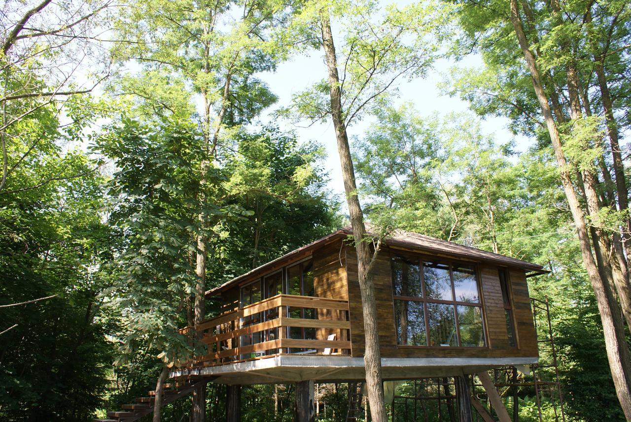 포룸바쿠 데 수스 Porumbacu Treehouse 빌라 외부 사진